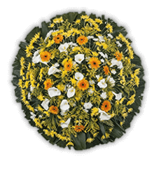 coroa 2